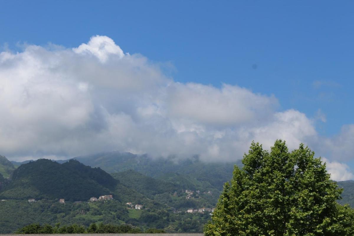 Villa Bord de mer, pieds dans l'eau, vue panoramique San-Nicolao Exterior foto