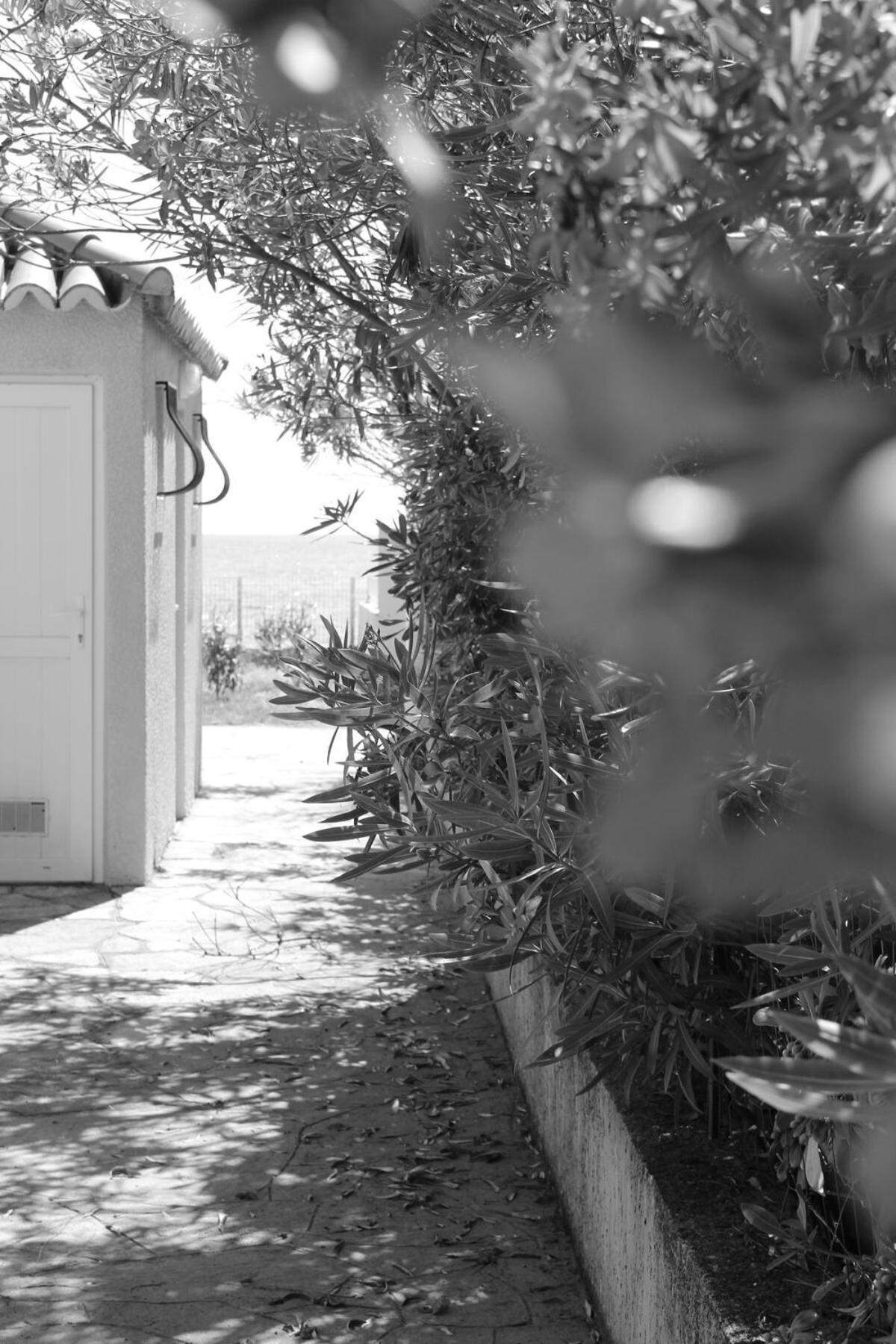 Villa Bord de mer, pieds dans l'eau, vue panoramique San-Nicolao Exterior foto