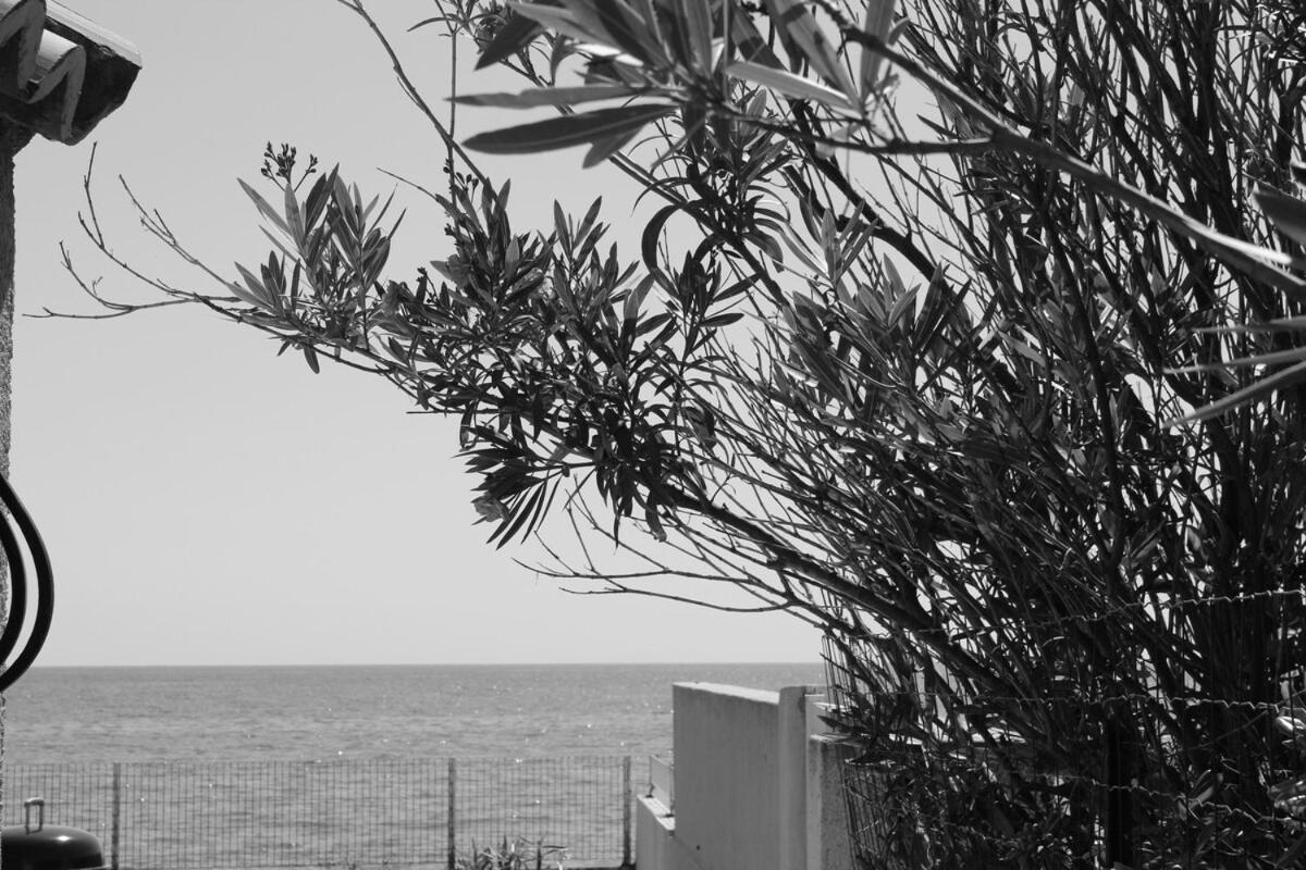 Villa Bord de mer, pieds dans l'eau, vue panoramique San-Nicolao Exterior foto