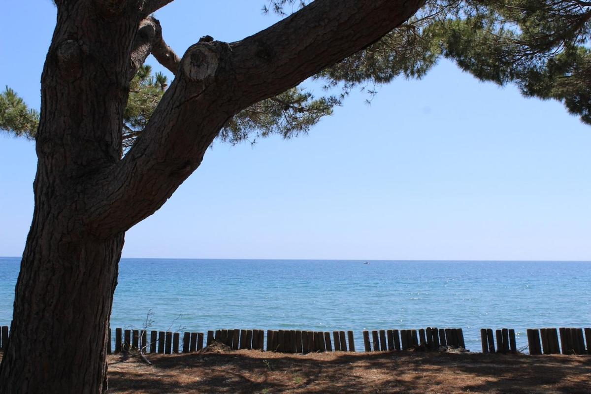 Villa Bord de mer, pieds dans l'eau, vue panoramique San-Nicolao Exterior foto